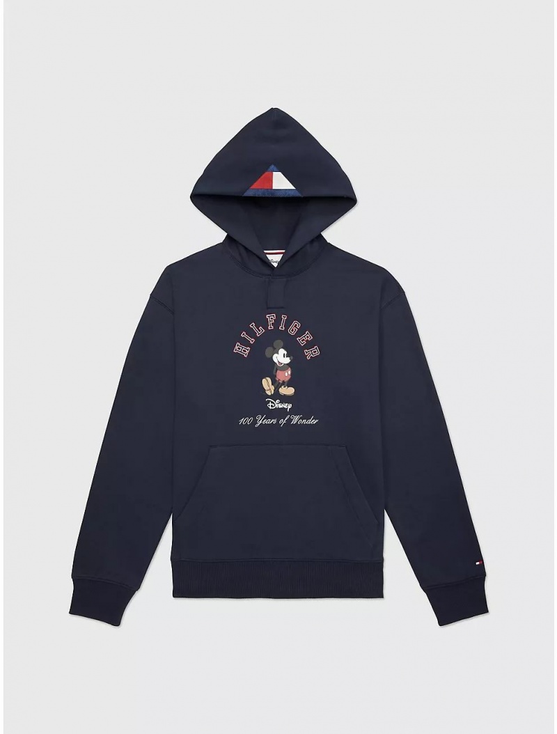 Tommy Hilfiger DISNEYxTOMMY Hoodie Tops Desert Sky | 6253-BJULG