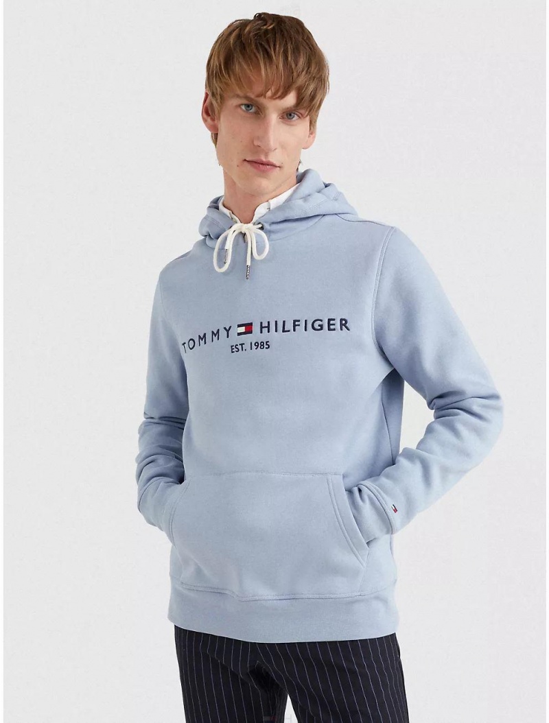 Tommy Hilfiger Embroidered Tommy Logo Hoodie Hoodies & Sweatshirts Daybreak Blue | 9671-CMILK