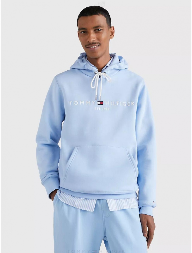 Tommy Hilfiger Embroidered Tommy Logo Hoodie Hoodies & Sweatshirts Vessel Blue | 2067-TFZWL