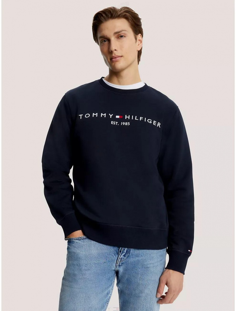 Tommy Hilfiger Embroidered Tommy Logo Sweatshirt Hoodies & Sweatshirts Desert Sky | 2436-LGPKN