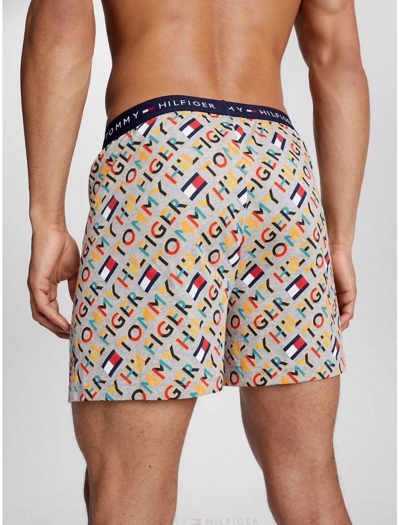 Tommy Hilfiger Fashion Woven Boxer Underwear FLINT | 6175-VPWEO