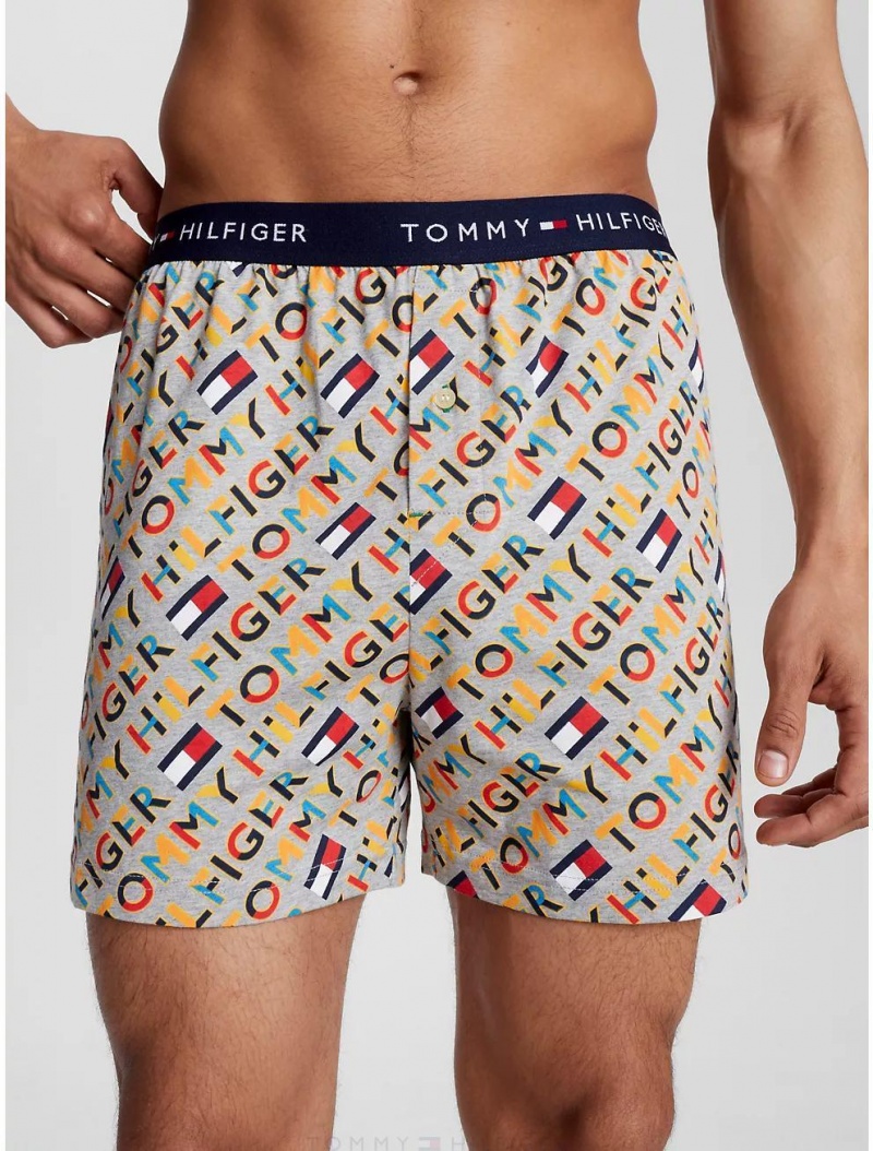 Tommy Hilfiger Fashion Woven Boxer Underwear FLINT | 6175-VPWEO