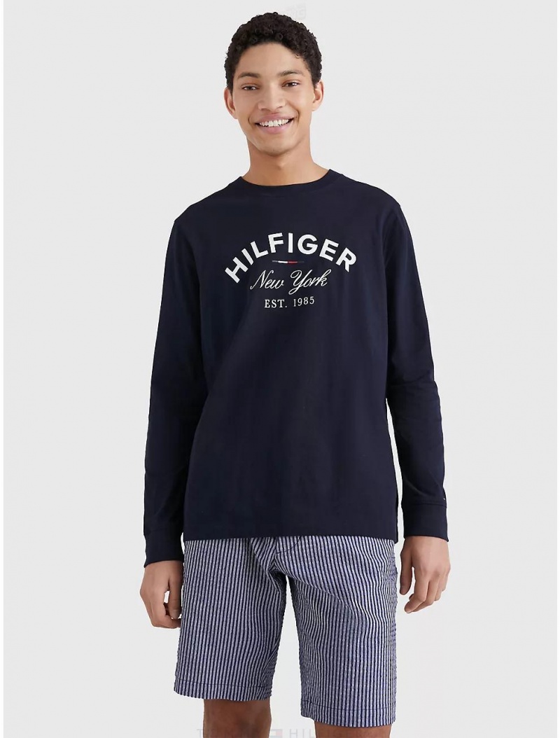 Tommy Hilfiger Hilfiger NYC Logo Long-Sleeve T-Shirt T-Shirts Desert Sky | 6028-POSBR