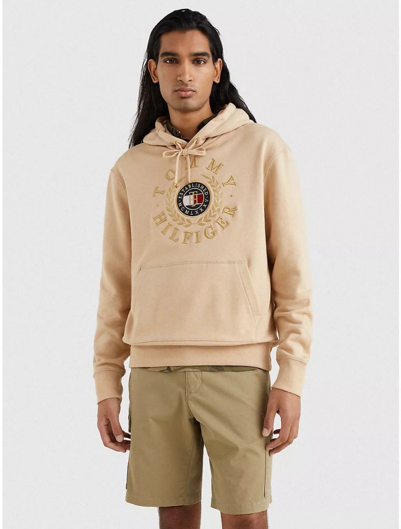 Tommy Hilfiger Icon Circle Logo Hoodie Hoodies & Sweatshirts Clayed Pebble | 8610-FGVDM