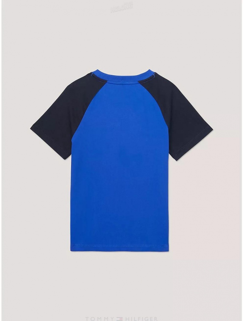 Tommy Hilfiger Kids' Baseball T-Shirt T-Shirts Cobalt | 0387-GAPED