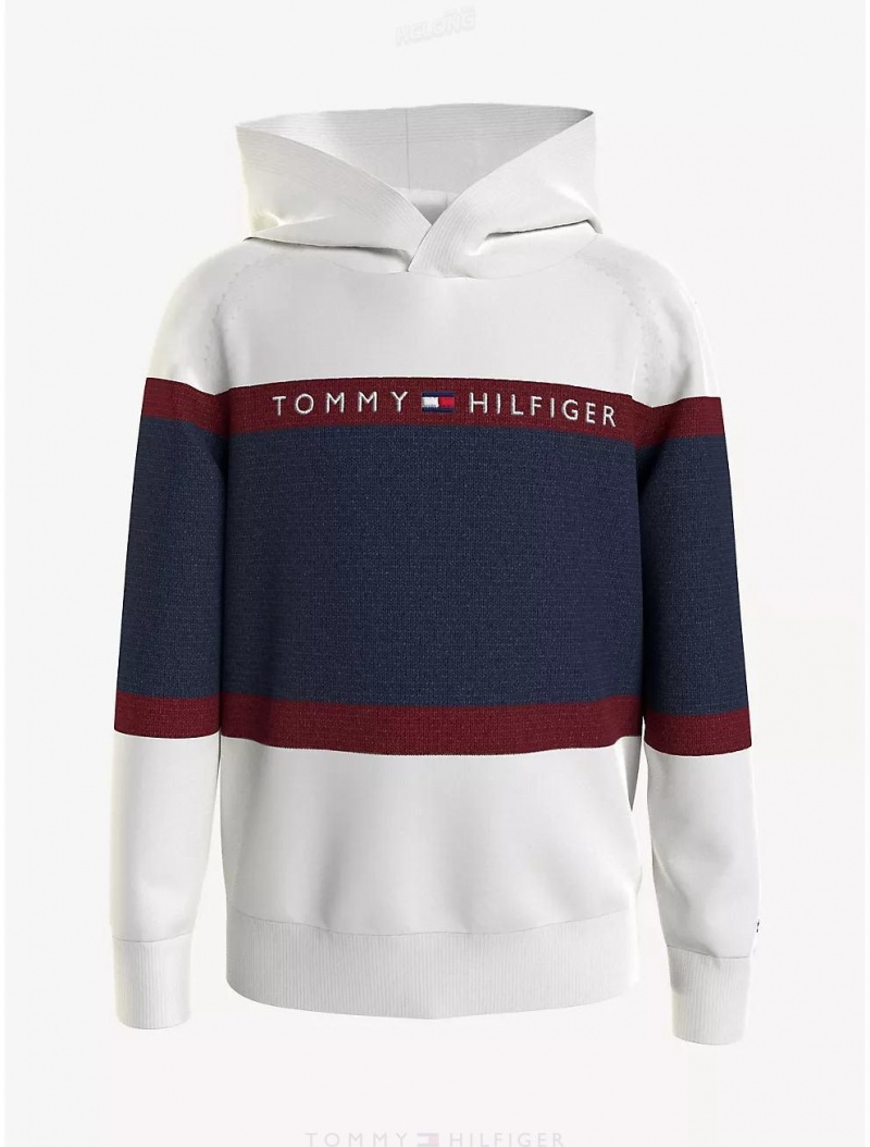 Tommy Hilfiger Kids' Colorblock Hooded Sweater Sweatshirts & Sweaters Milky Way | 6842-YBZWV