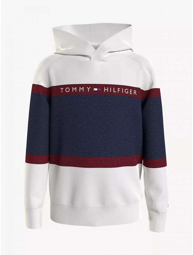 Tommy Hilfiger Kids\' Colorblock Hooded Sweater Sweatshirts & Sweaters Milky Way | 6842-YBZWV