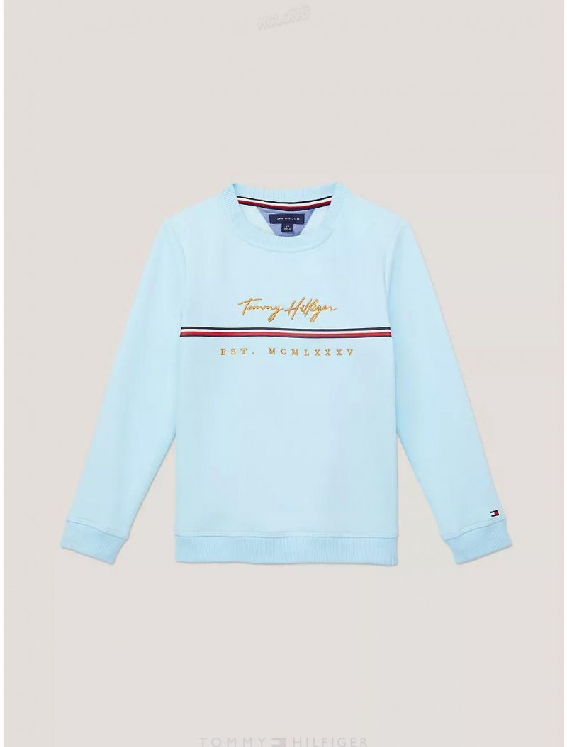 Tommy Hilfiger Kids' Embroidered Signature Sweatshirt Sweatshirts & Sweaters Frost Blue | 6084-GNVZM