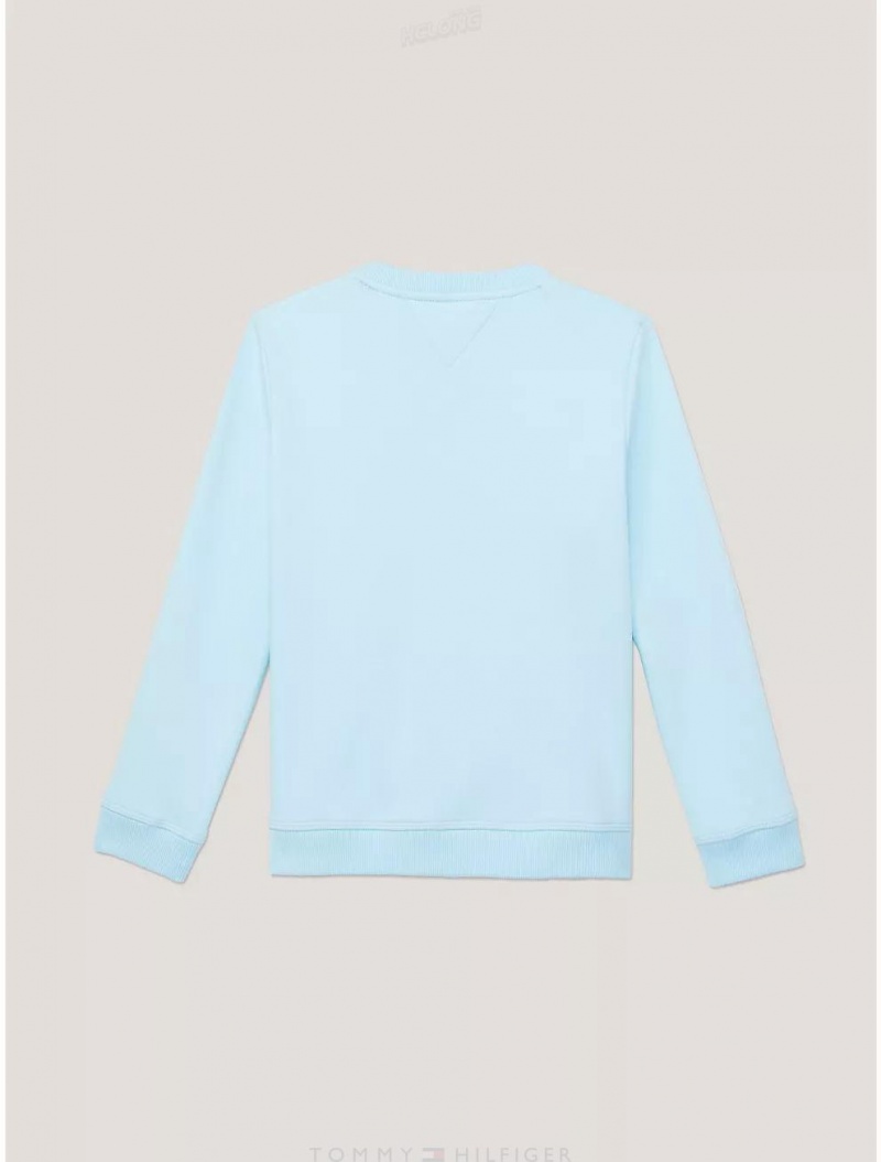 Tommy Hilfiger Kids' Embroidered Signature Sweatshirt Sweatshirts & Sweaters Frost Blue | 2431-WBUCX