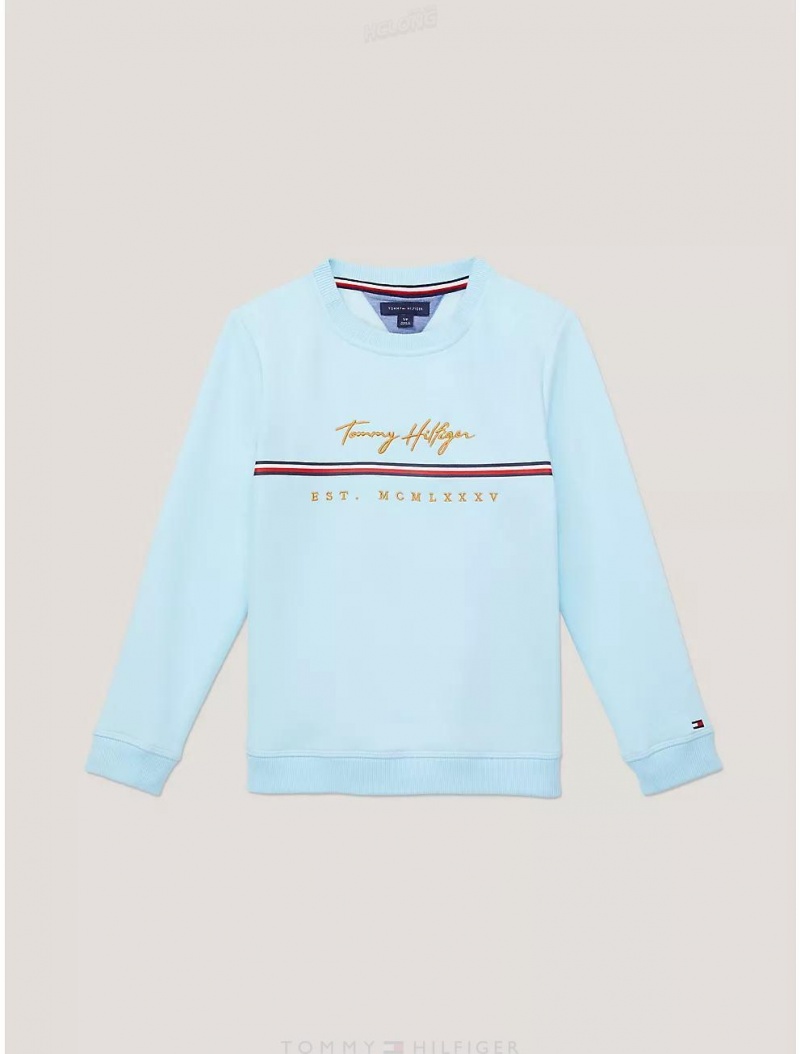 Tommy Hilfiger Kids' Embroidered Signature Sweatshirt Sweatshirts & Sweaters Frost Blue | 2431-WBUCX