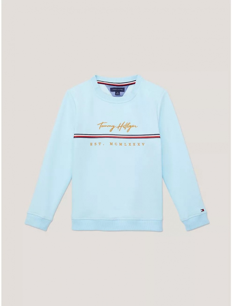 Tommy Hilfiger Kids\' Embroidered Signature Sweatshirt Sweatshirts & Sweaters Frost Blue | 2431-WBUCX