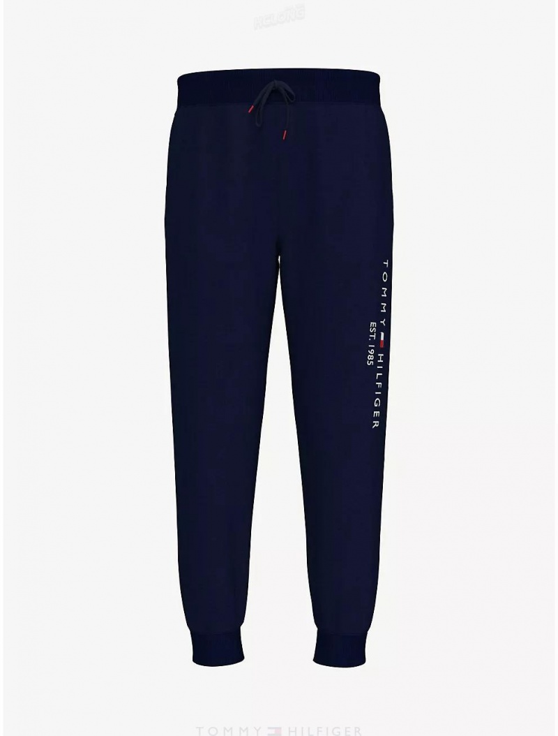 Tommy Hilfiger Kids' Embroidered Tommy Logo Pant Pants Masters Navy | 0159-YAIHO