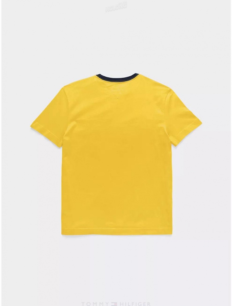 Tommy Hilfiger Kids' Flag Stripe Logo T-Shirt T-Shirts Maize | 8976-BMLTF