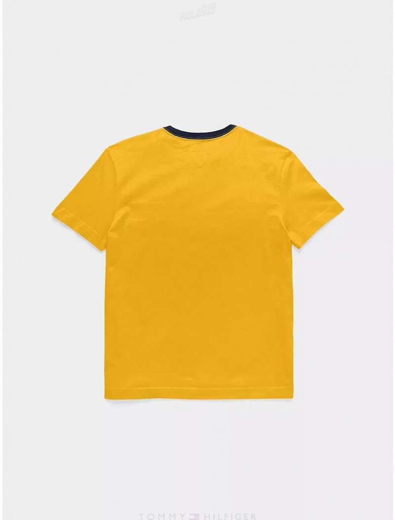 Tommy Hilfiger Kids' Flag Stripe Logo T-Shirt T-Shirts Golden Rod | 2673-VWCBQ