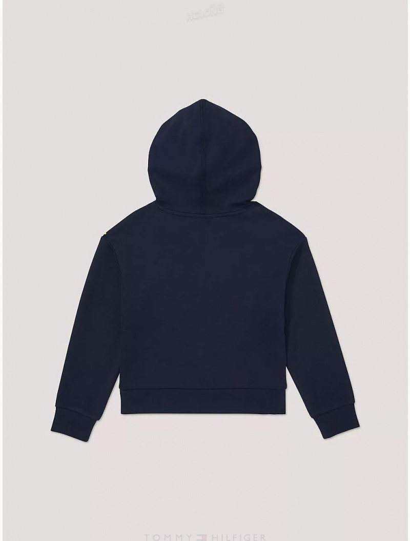 Tommy Hilfiger Kids' Hilfiger NY Logo Hoodie Sweatshirts & Sweaters Desert Sky | 8970-DUTSL