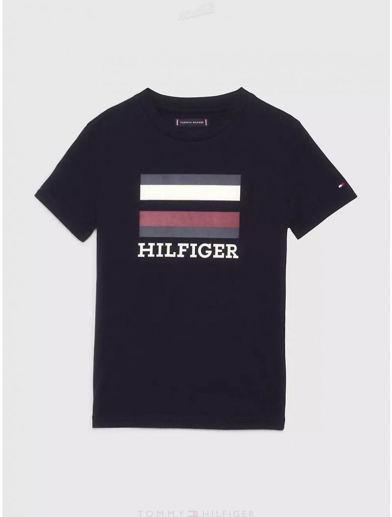 Tommy Hilfiger Kids' Hilfiger Stripe Flag T-Shirt T-Shirts Desert Sky | 3028-QIJBD