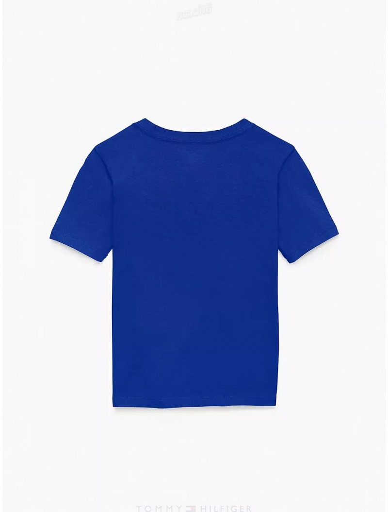 Tommy Hilfiger Kids' Solid T-Shirt T-Shirts Blue Craze | 4079-GDBHP