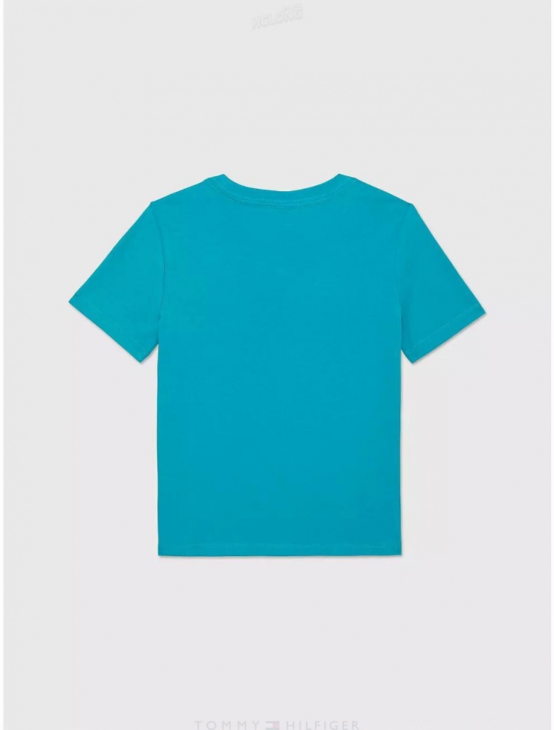 Tommy Hilfiger Kids' Solid T-Shirt T-Shirts New Teal | 1385-PVWEC