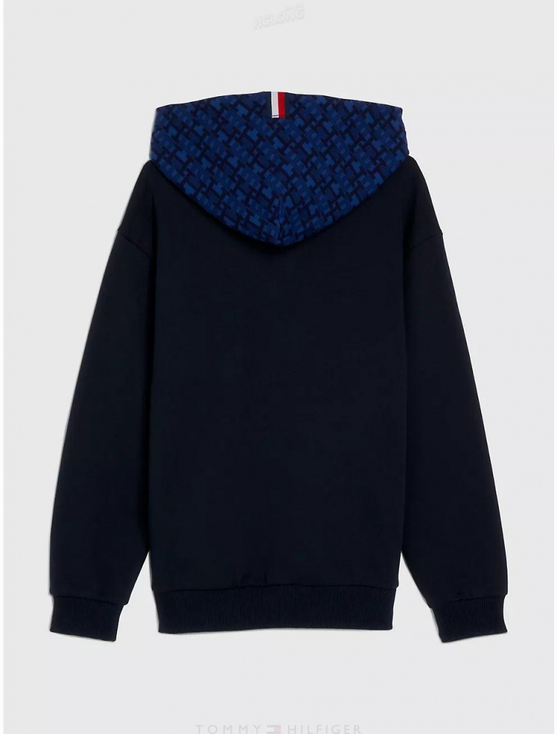 Tommy Hilfiger Kids' TH Monogram Colorblock Hoodie Sweatshirts & Sweaters Desert Sky Monogram | 1063-NUITJ