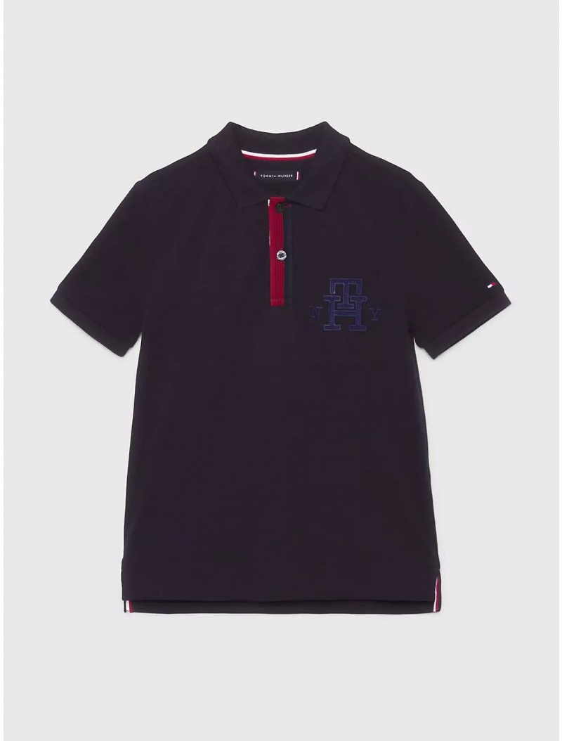 Tommy Hilfiger Kids\' TH Polo Polos Desert Sky | 0463-ZENOW