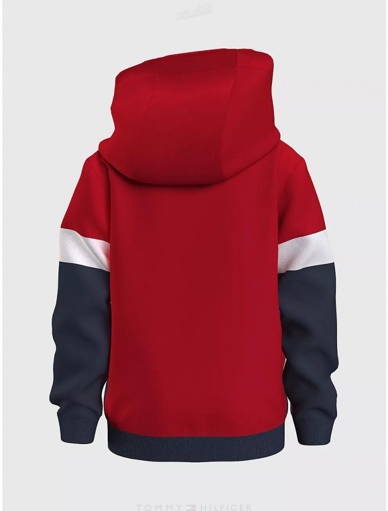 Tommy Hilfiger Kids' Tommy Logo Colorblock Hoodie Sweatshirts & Sweaters Cobalt Sapphire | 0218-EHGPL