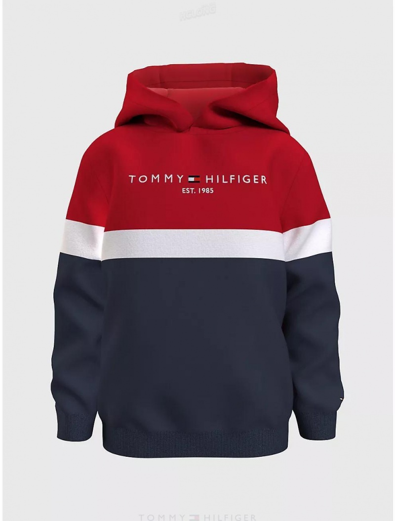 Tommy Hilfiger Kids' Tommy Logo Colorblock Hoodie Sweatshirts & Sweaters Cobalt Sapphire | 0218-EHGPL