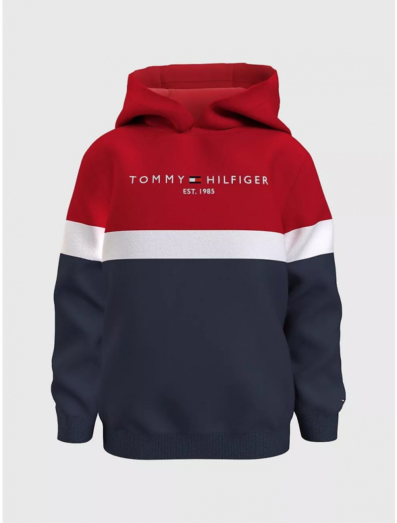 Tommy Hilfiger Kids\' Tommy Logo Colorblock Hoodie Sweatshirts & Sweaters Cobalt Sapphire | 0218-EHGPL