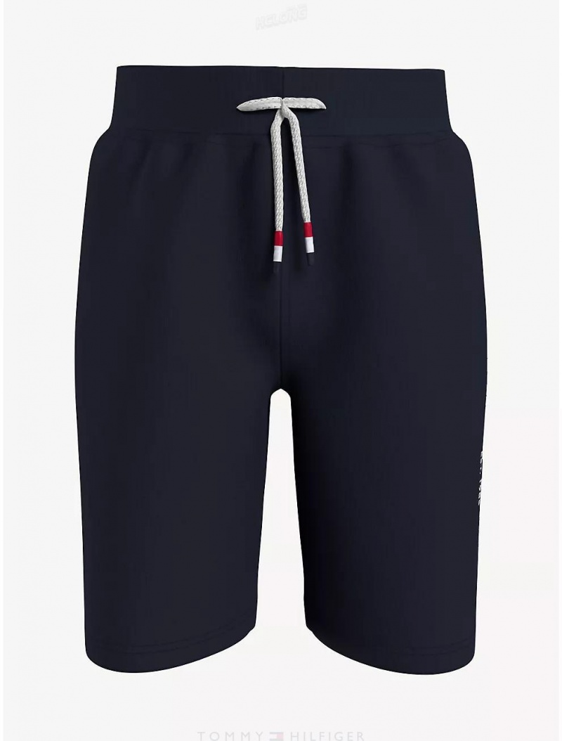 Tommy Hilfiger Kids' Tommy Logo Sweatshort Shorts Desert Sky | 9380-MDNAC