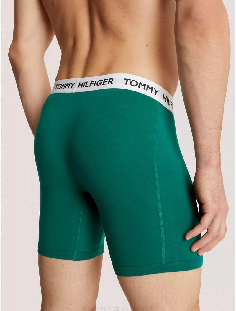 Tommy Hilfiger Logo Rib Boxer Brief Underwear Hunter | 8615-OQWDM