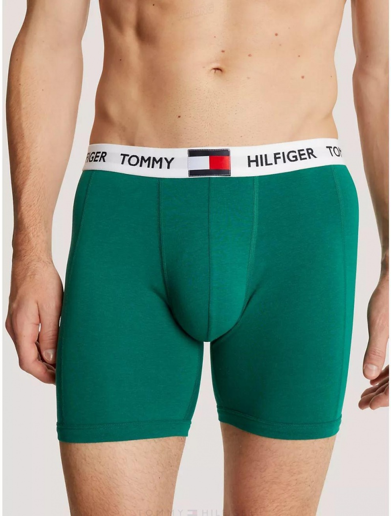 Tommy Hilfiger Logo Rib Boxer Brief Underwear Hunter | 8615-OQWDM