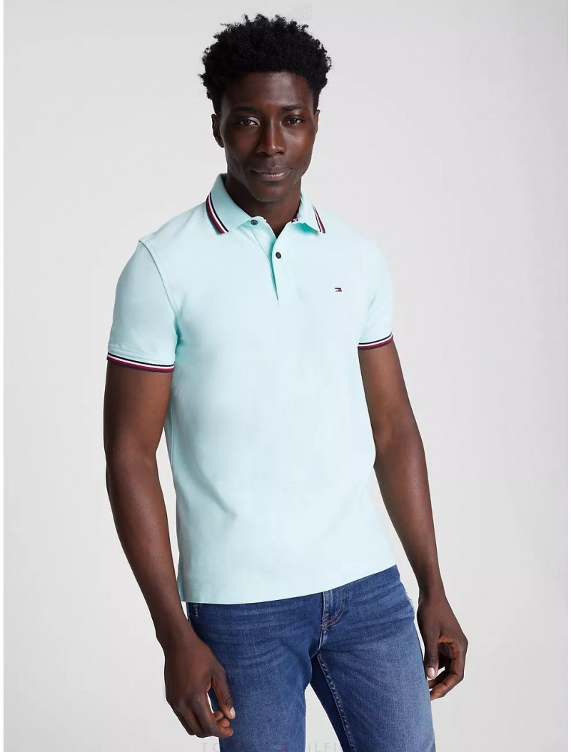 Tommy Hilfiger Regular Fit Tommy Tipped Polo Polos Botanical Green | 6015-QRGNZ