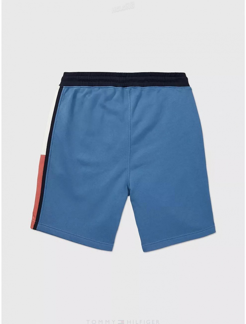 Tommy Hilfiger Seated Fit Logo Sweatshort Bottoms North Sky Blue | 9381-YRFLK