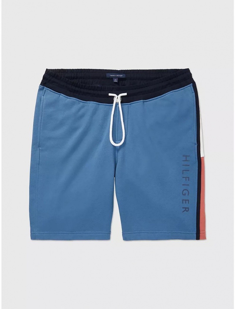 Tommy Hilfiger Seated Fit Logo Sweatshort Bottoms North Sky Blue | 9381-YRFLK