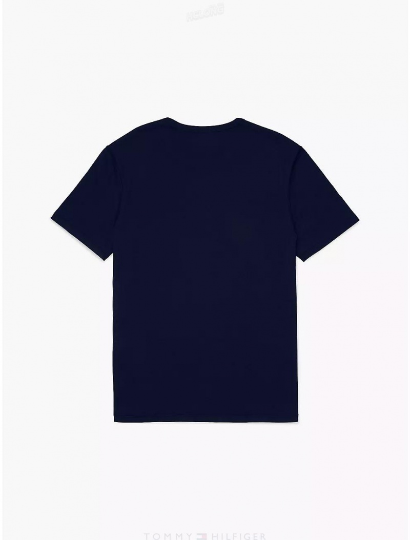 Tommy Hilfiger Sensory Tommy Jeans T-Shirt Tops Sky Captain | 4301-SZGEK