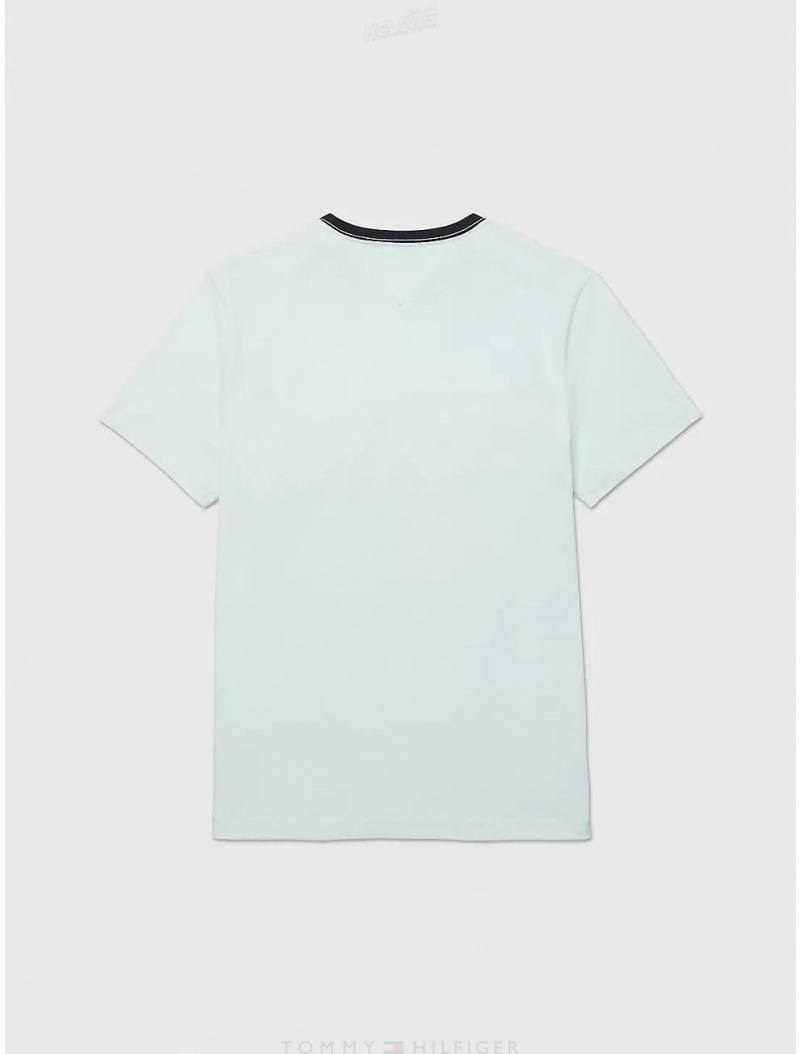 Tommy Hilfiger Signature Stripe T-Shirt Tops Minty Essence | 7586-FRYSA