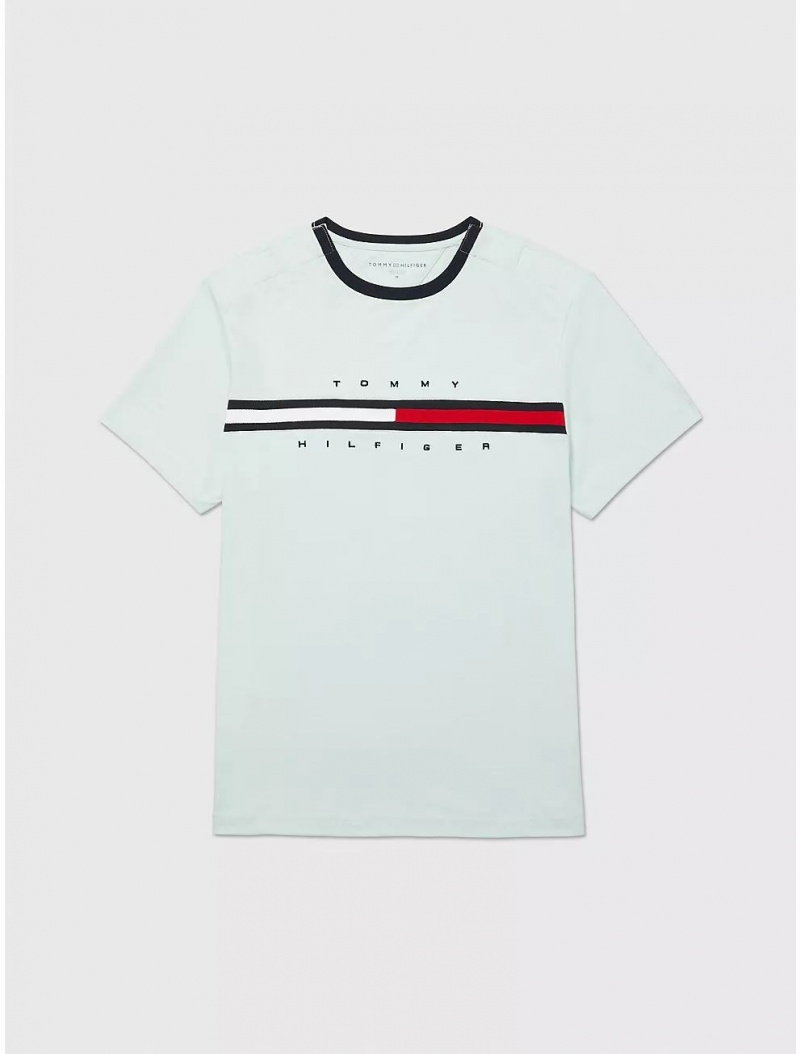 Tommy Hilfiger Signature Stripe T-Shirt Tops Minty Essence | 7586-FRYSA