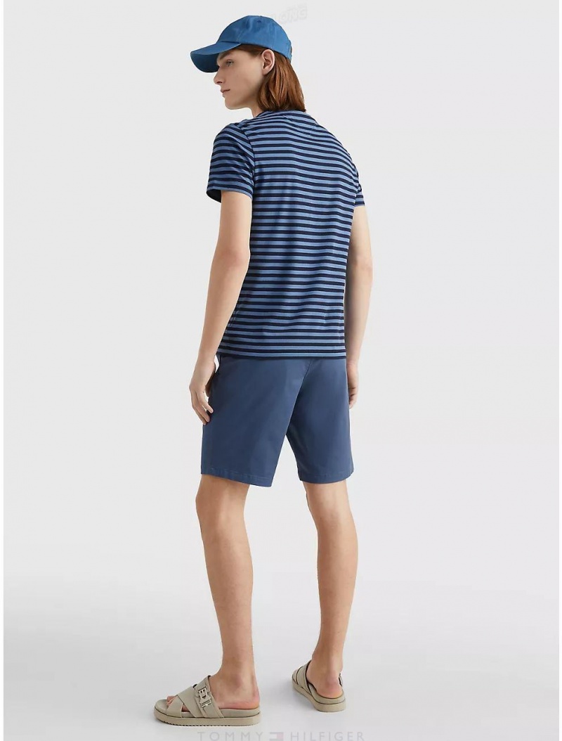 Tommy Hilfiger Slim Fit Stripe Stretch Cotton T-Shirt T-Shirts Blue Coast/Desert Sky | 0123-QWPXE
