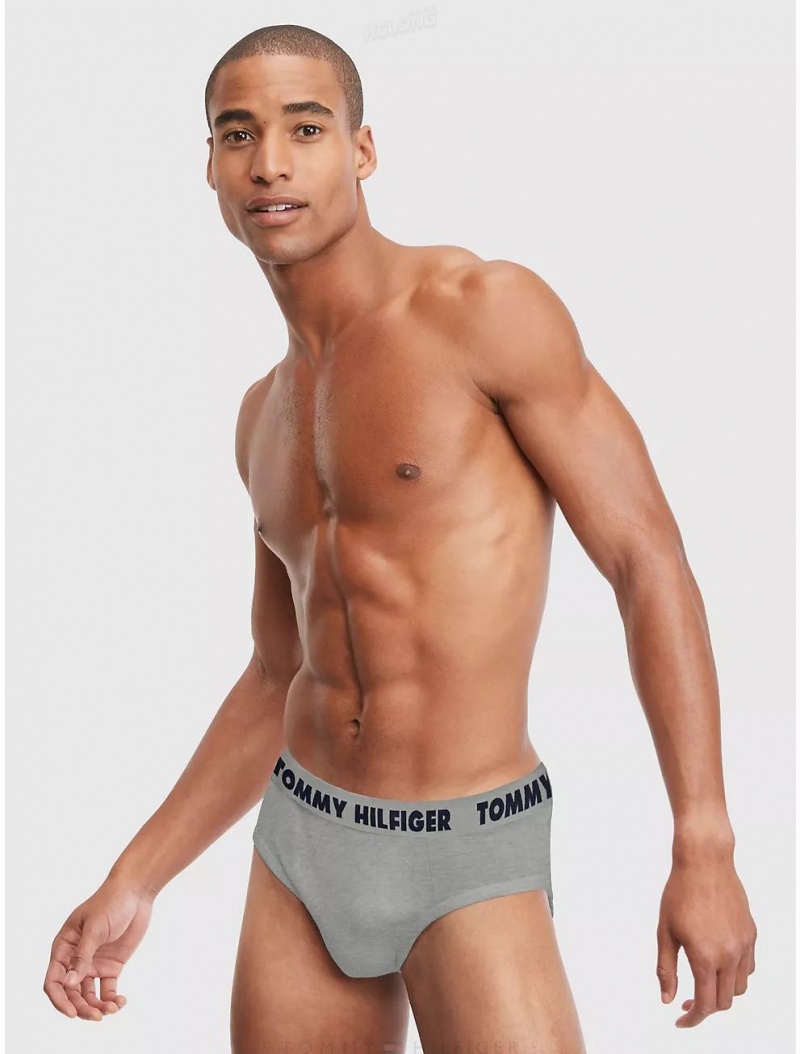 Tommy Hilfiger Statement Flex Brief 3-Pack Underwear Multi | 0738-DMQAE